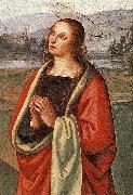 PERUGINO, Pietro The Pazzi Crucifixion (detail) af oil painting